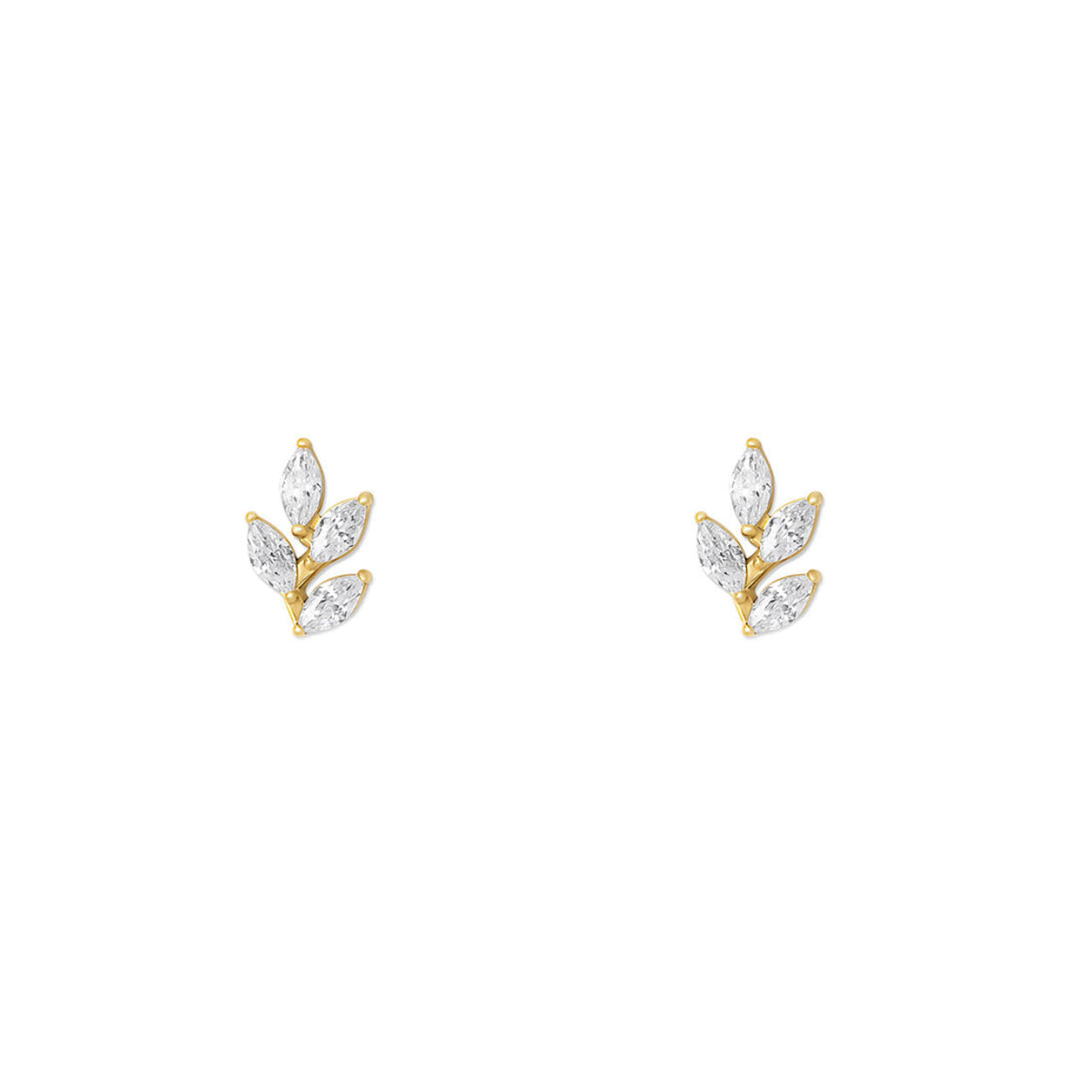 NAMI. STUDS