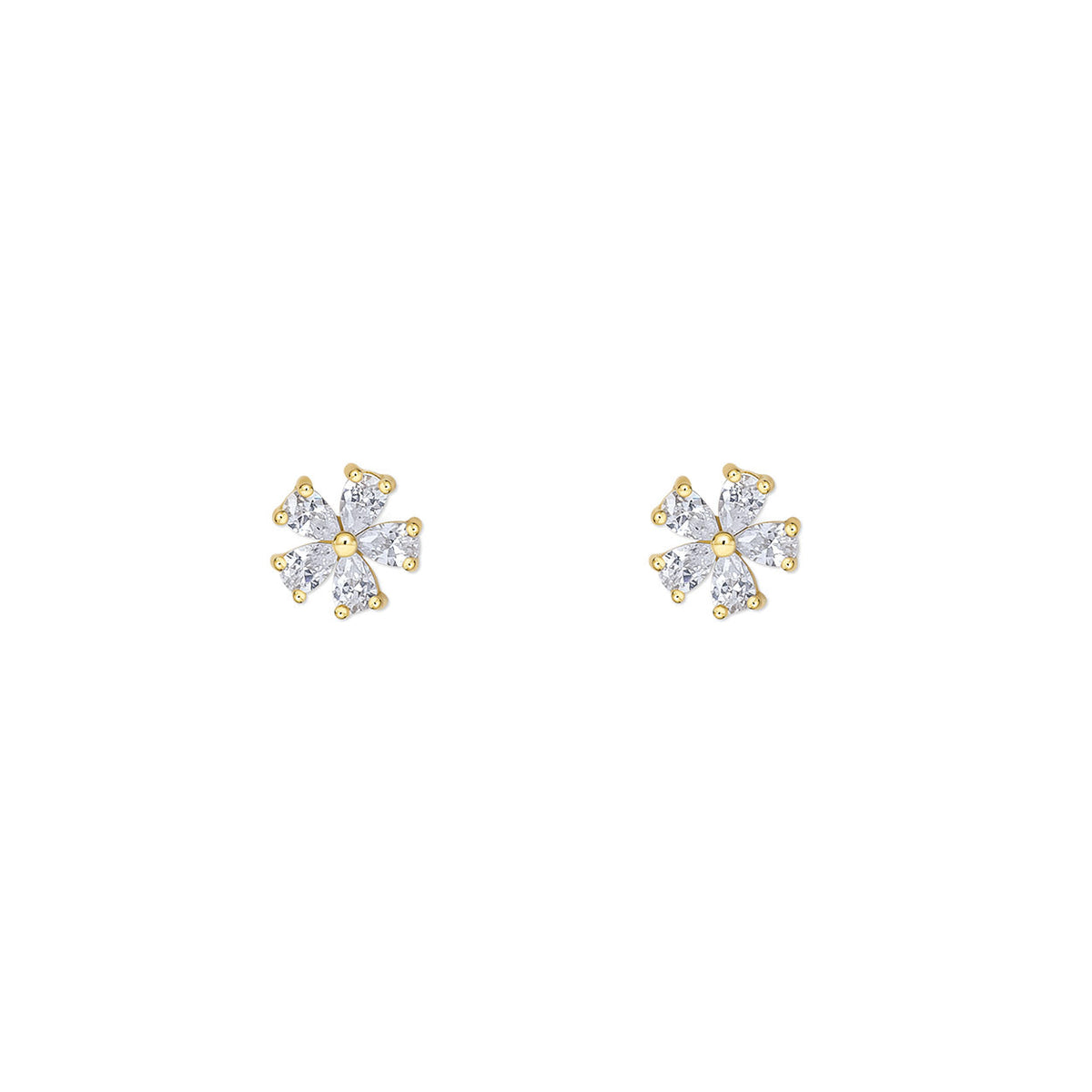 FLORA. STUDS